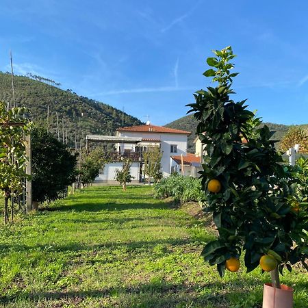 La Tenuta Di Eva Pisa Exteriör bild