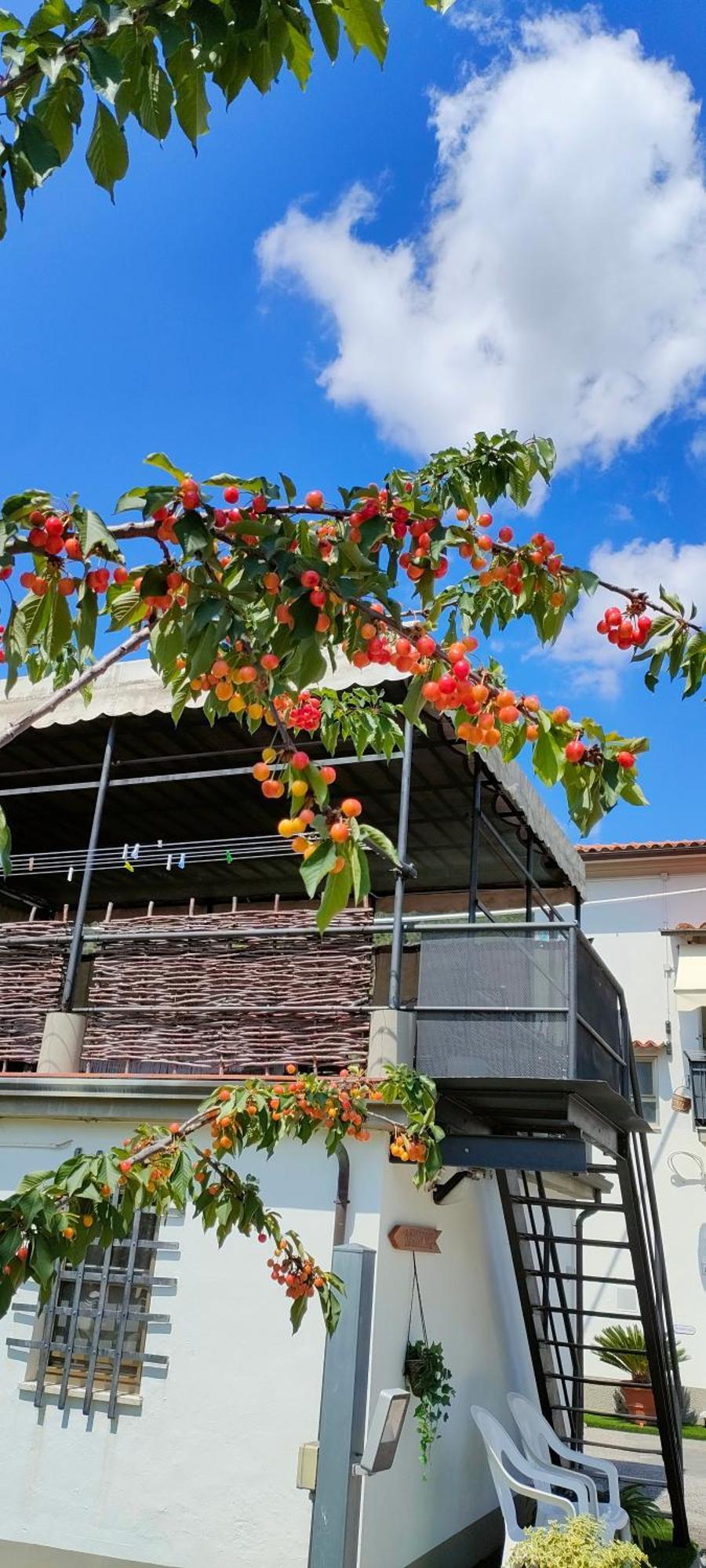 La Tenuta Di Eva Pisa Exteriör bild