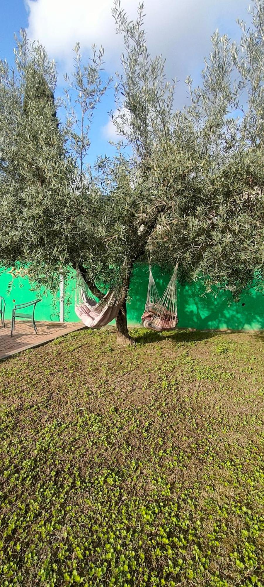 La Tenuta Di Eva Pisa Exteriör bild