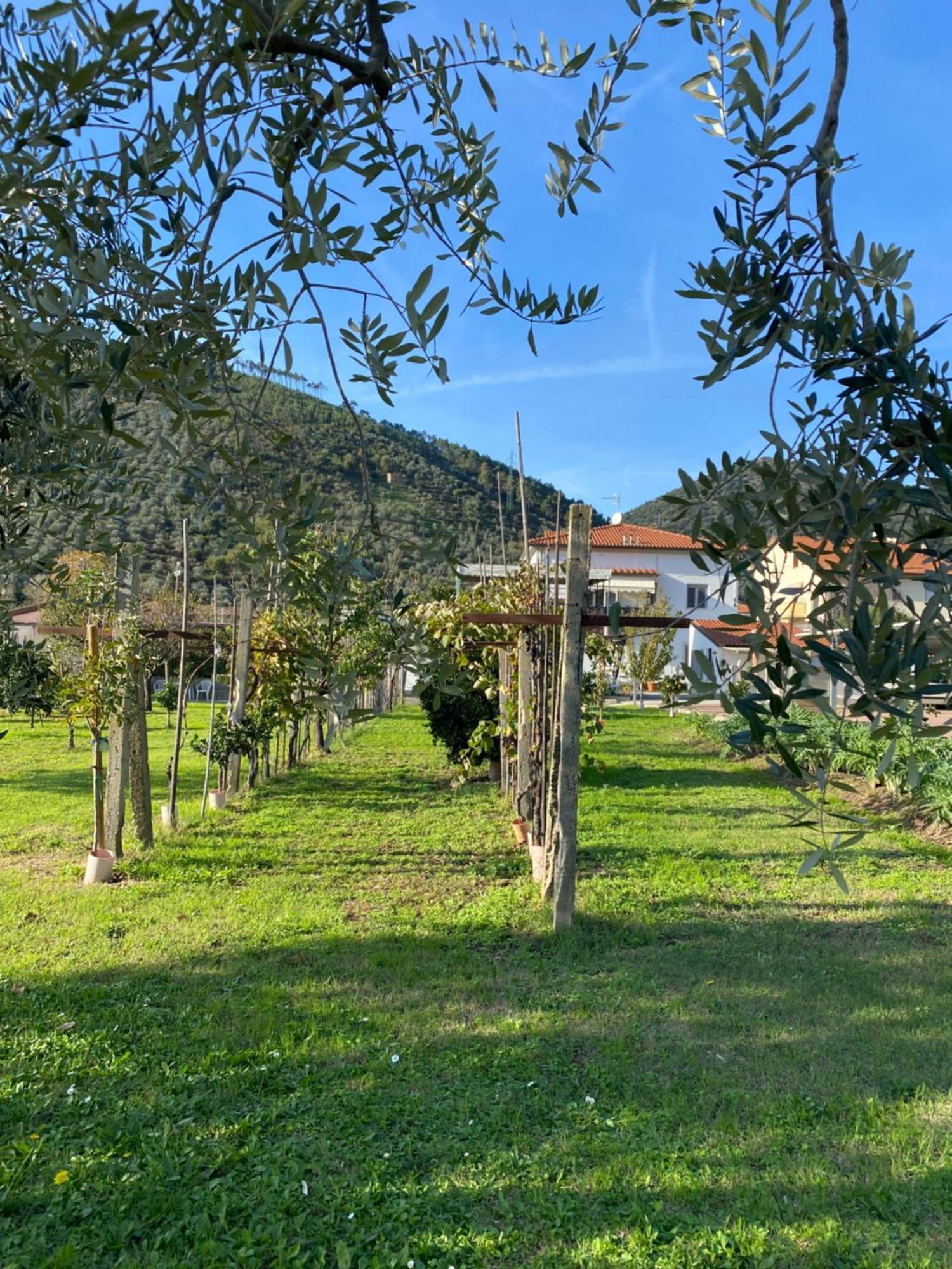 La Tenuta Di Eva Pisa Exteriör bild