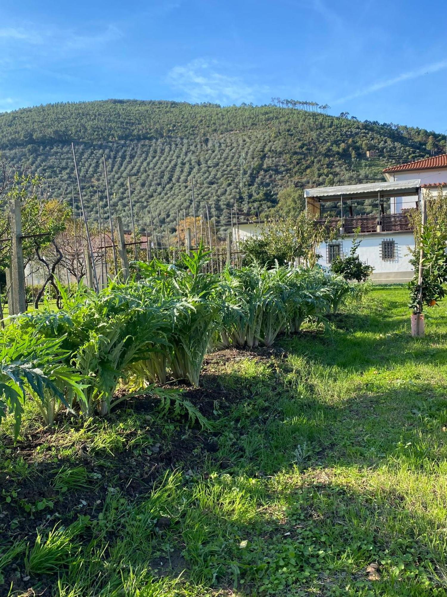La Tenuta Di Eva Pisa Exteriör bild