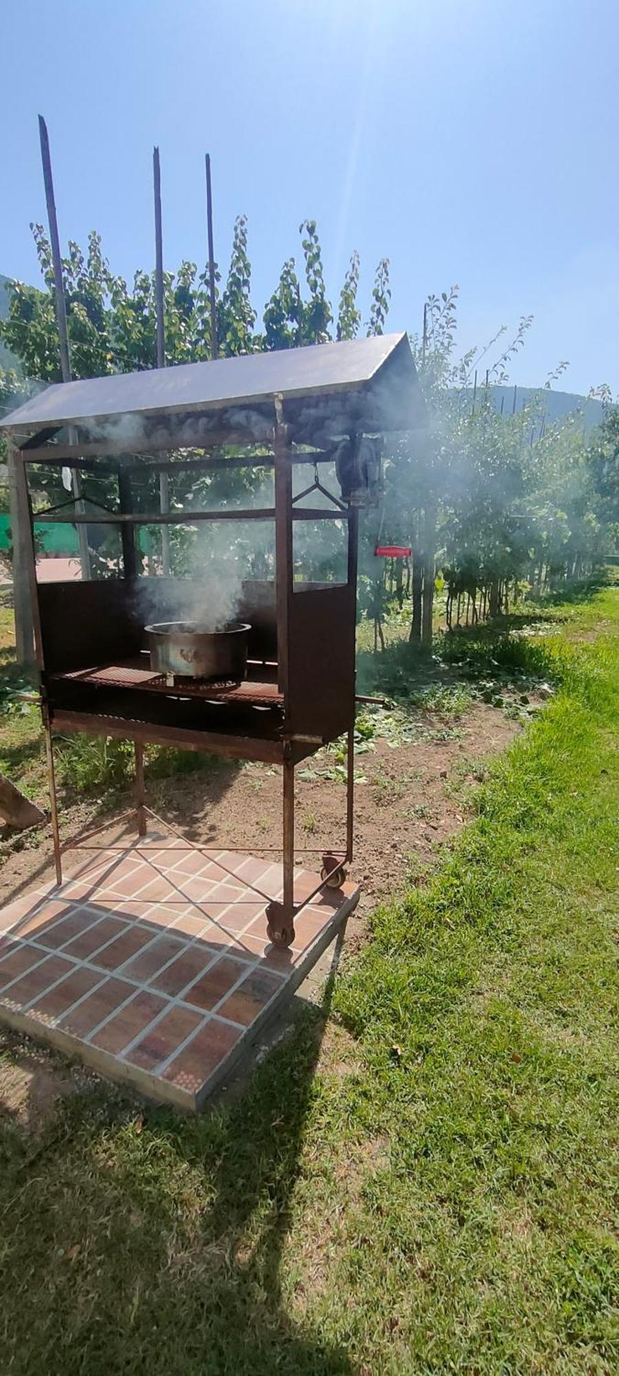 La Tenuta Di Eva Pisa Exteriör bild