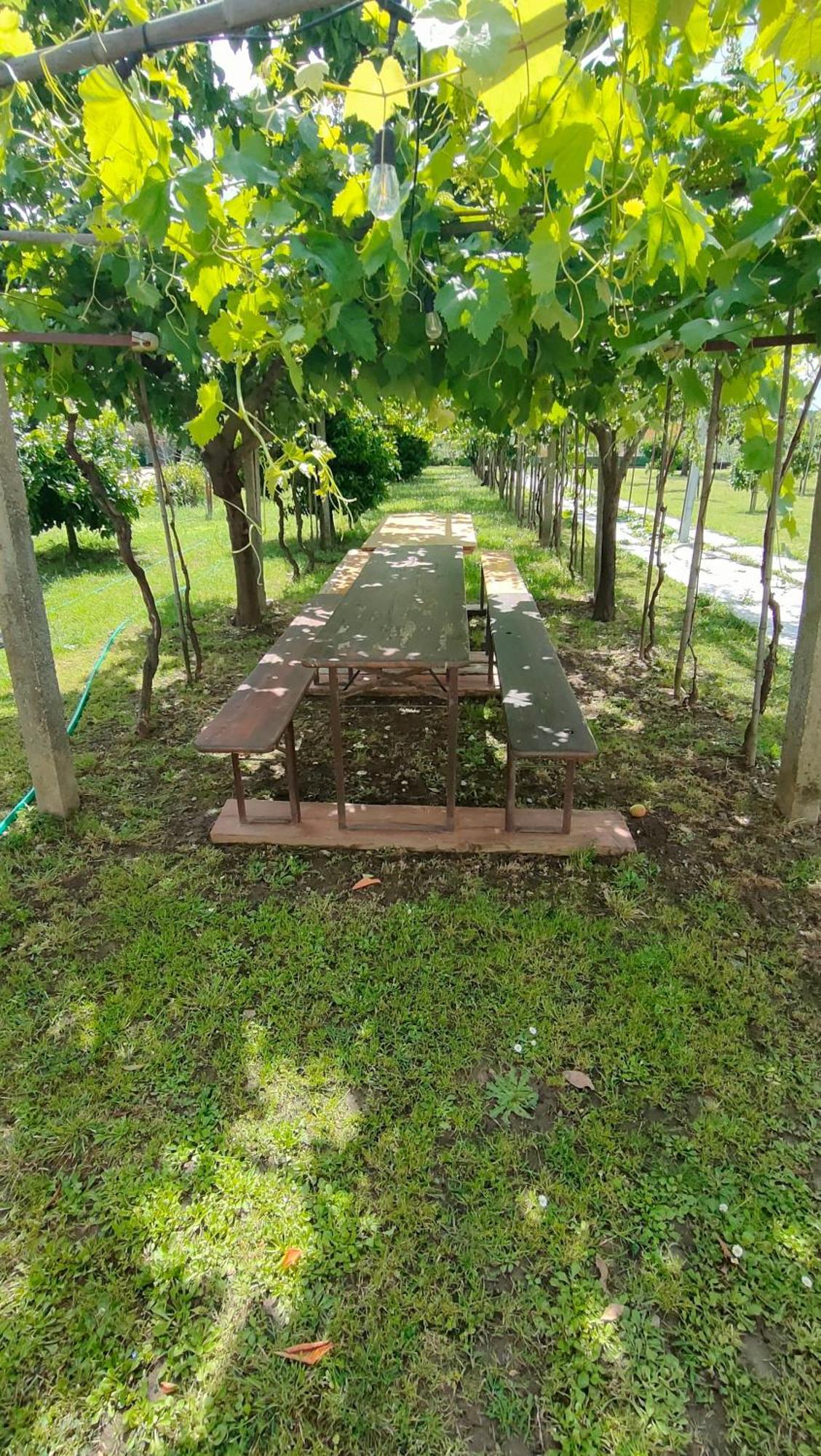 La Tenuta Di Eva Pisa Exteriör bild